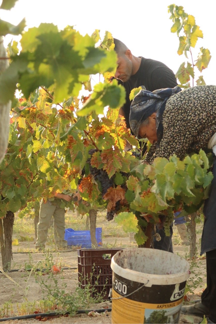 Copy of IMG 6406 — big