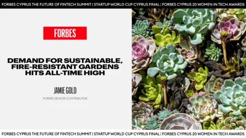 Fire-Resistant Gardens