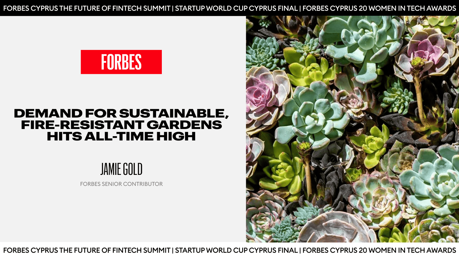 Fire-Resistant Gardens