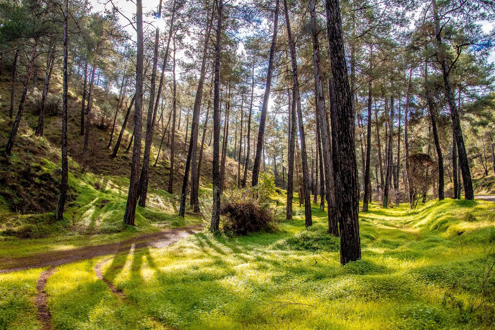 One Hike At A Time: How One Outdoor Enthusiast Is Building A Well-Trodden Community 5 IMG 7975