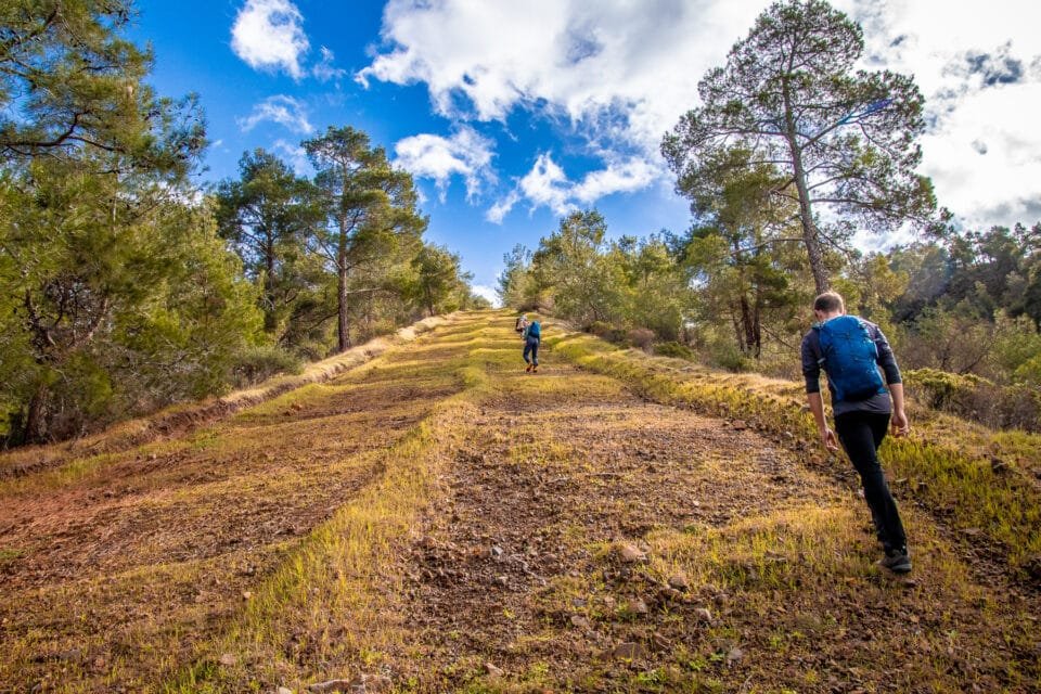 One Hike At A Time: How One Outdoor Enthusiast Is Building A Well-Trodden Community 4 IMG 7997