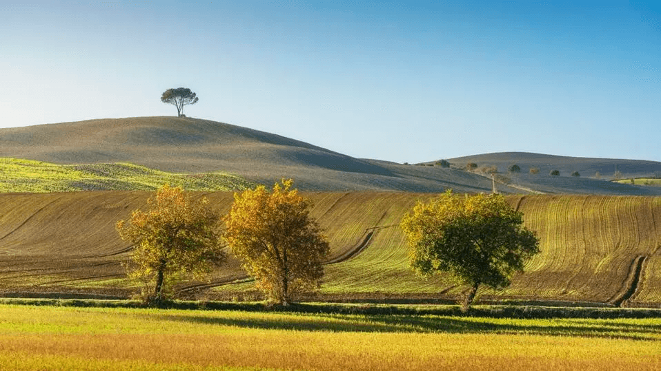 Spiritual Tourism: 8 Iconic European Pilgrimage Routes And Ancient Trails 5 image 202