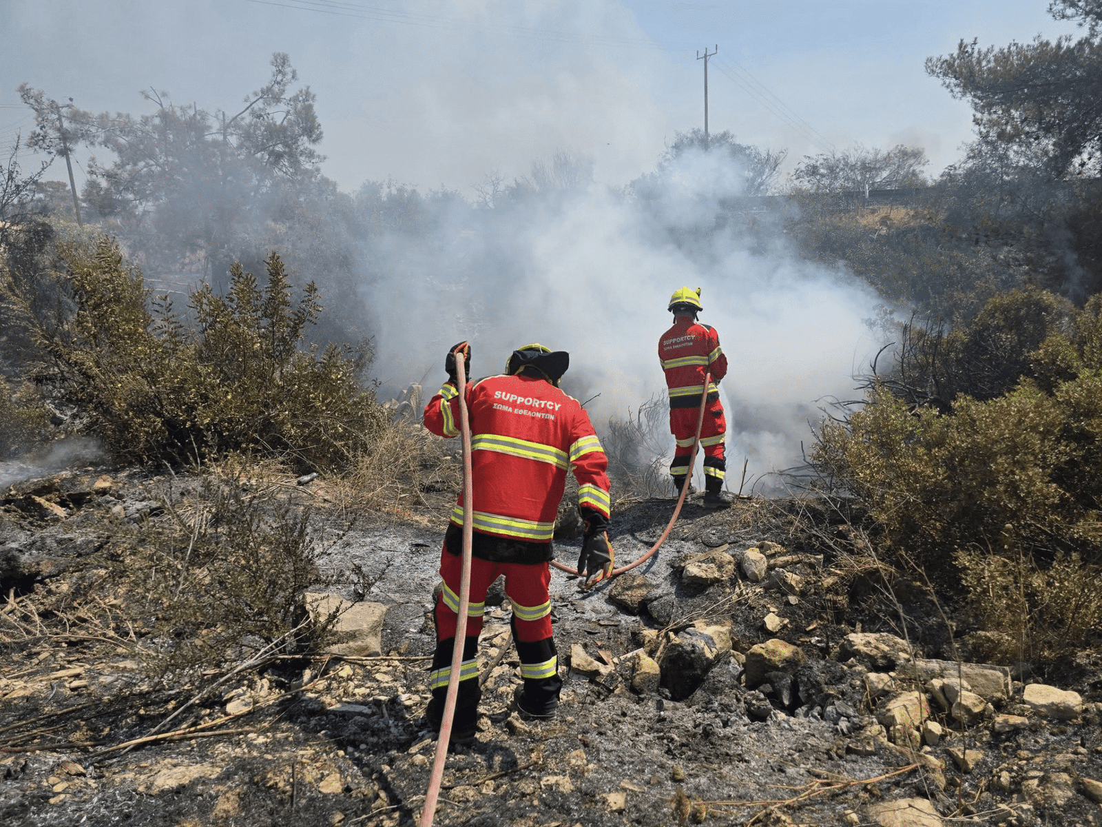 From Flames To Recovery: How SupportCY And Cyprus’s Business Community Mobilized In The Limassol Wildfires 2 Wildfire Limasol