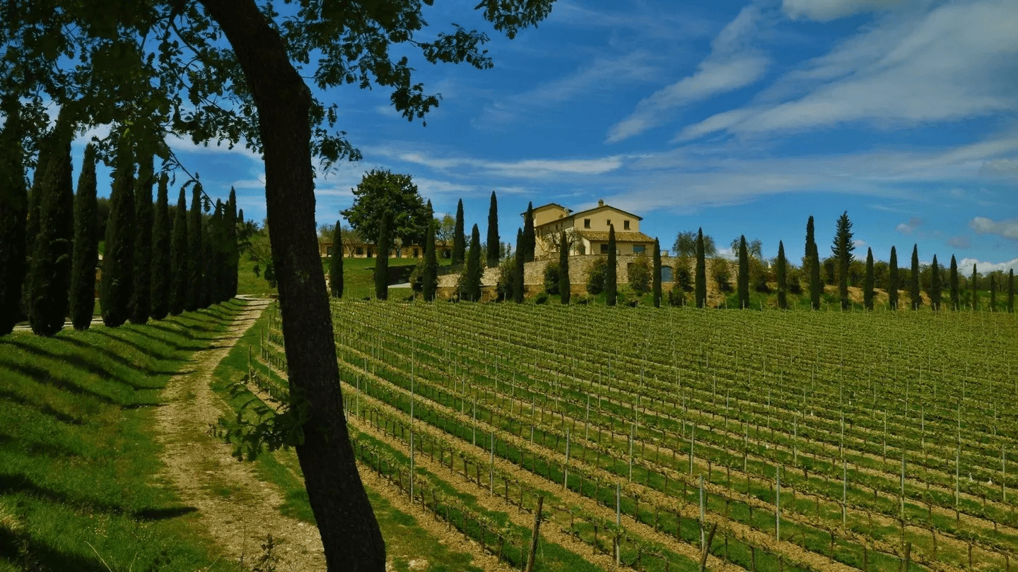 An Insider Guide To Buying A Villa In Tuscany 4 image 247