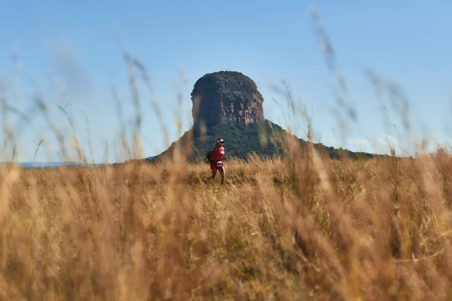 12 Marathons Worth Traveling For In 2026 5 image 369