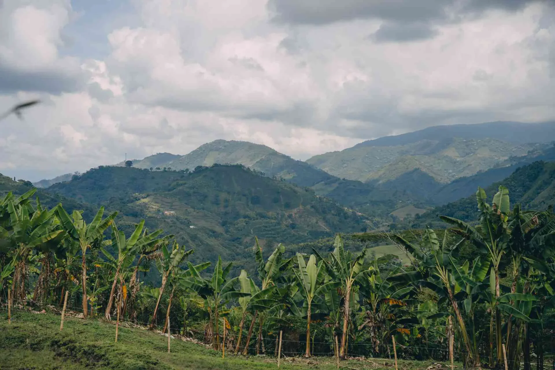 From Moscow To Medellín: How One Woman Traded Office Life For Colombia's Wilderness 2 image 421