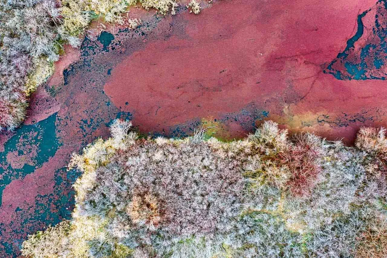 From Moscow To Medellín: How One Woman Traded Office Life For Colombia's Wilderness 4 image 423